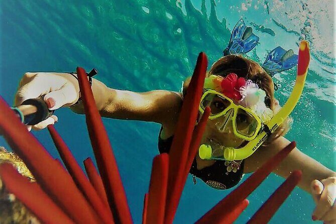Super Raft - Private Charter Maui 3 Hour Snorkel to Coral Gardens or Molokini - Price and value: what $2,866.67 per group really buys