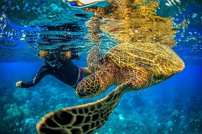 Super Raft - Private Charter Maui 3 Hour Snorkel to Coral Gardens or Molokini - What the 3-hour afternoon feels like from start to finish