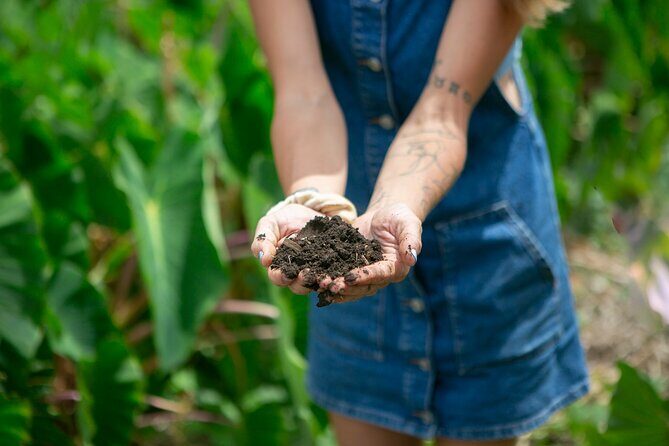 Taste of Hawaii: A Maui Farm Tour - Weather and rain: what can change on Maui