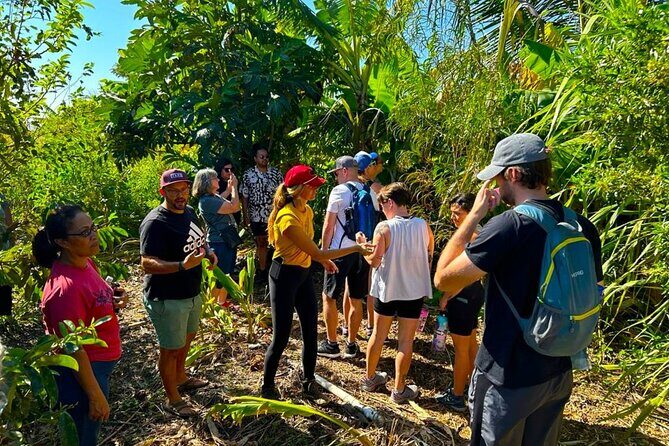 Taste of Hawaii: A Maui Farm Tour - Who should book this Maui farm tour