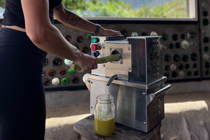 Taste of Hawaii: A Maui Farm Tour - Where the tour starts in Wailuku (and why timing matters)