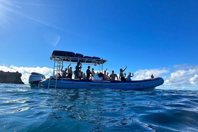 The Best 10 am 1.5 Hour Whale Watching Tour - The weather reality: why some trips change plans