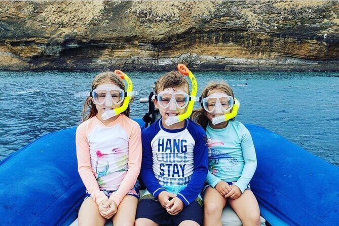 The Best 2.5 Hour Molokini Snorkel Tour & Whale Watch - Key highlights you’ll feel on the water