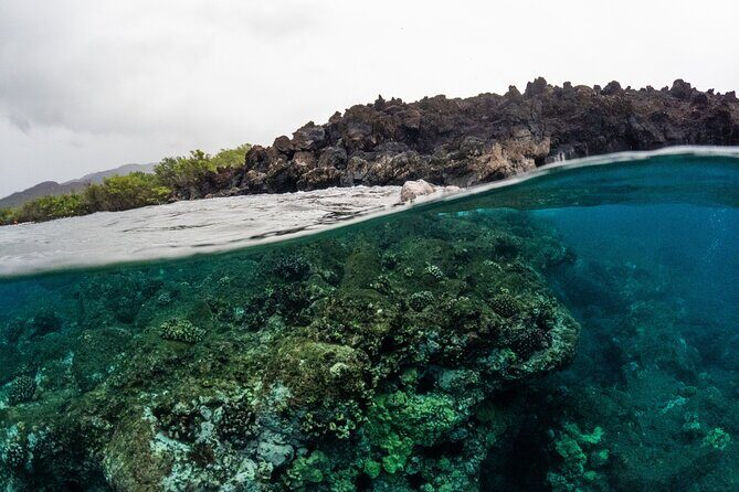 The Best 2.5 Hour Molokini Snorkel Tour & Whale Watch - Whale watching while you cruise: where the “wow” moments come from