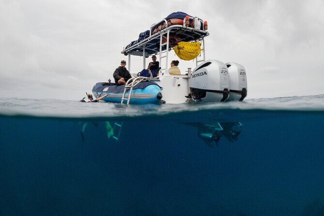 The Best 2.5 Hour Molokini Snorkel Tour & Whale Watch - The boat ride from Kihei: fast RIB energy, real sea conditions