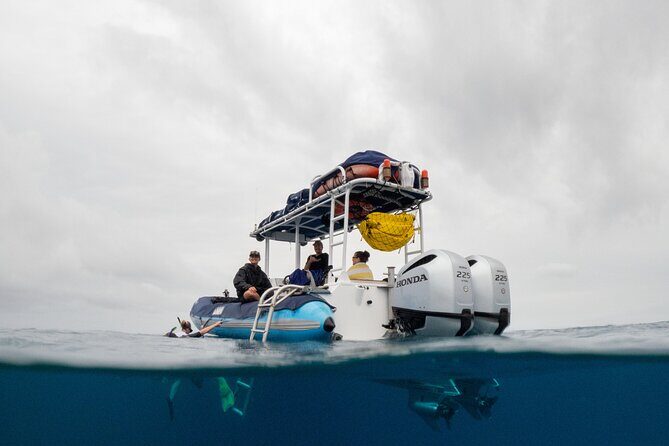 The Best 2 Hour Molokini Express Snorkeling - Key things to know before you book