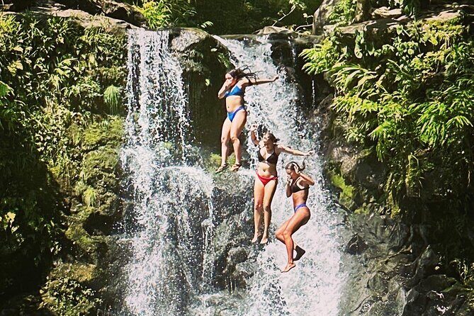 The best half day of your life! Luxury Road to Hana private tour - Luxury Hana without the driving stress: how this private tour works