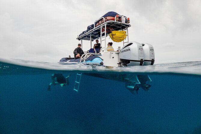 The Best Maui 3 Hour Molokini and Turtle Town Snorkel - Small-boat flexibility and the bonus snorkeling moments