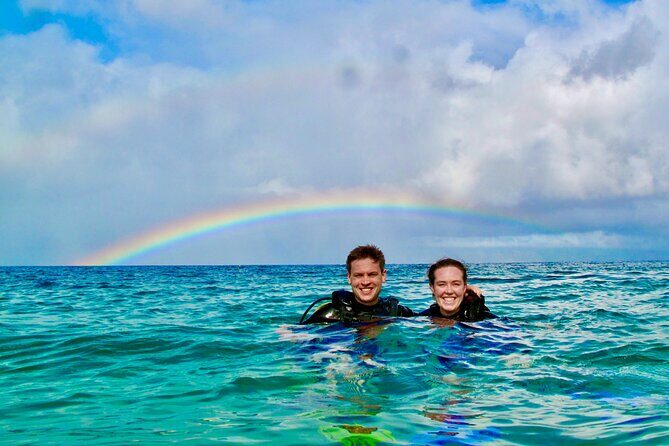 Turtle & Shark Scuba Dive in Lahaina: Certified - Key things I’d mark on your mental map