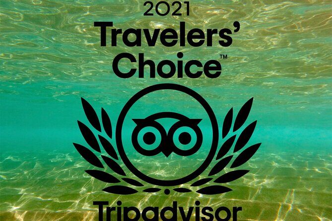 Turtle & Shark Scuba Dive in Lahaina: Certified - Underwater highlights: turtles, reef sharks, and local sea life