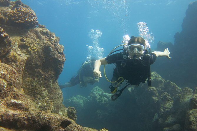 Turtle & Shark Scuba Dive in Lahaina: Certified - Equipment, snacks, and the small-group advantage