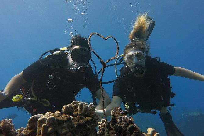 Turtle & Shark Scuba Dive in Lahaina: Certified - Safety briefing first, then an experience paced to you