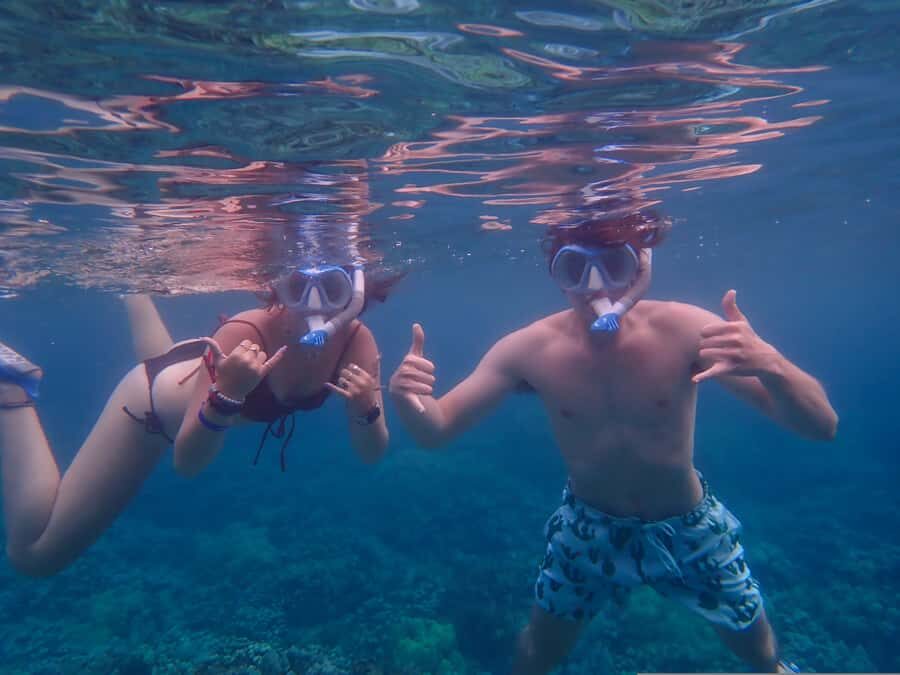 Turtle Town Clear Kayak & Snorkel Tour (8am-11am) - Quick Tips to Get the Most From a Clear-Kayak Snorkel Morning