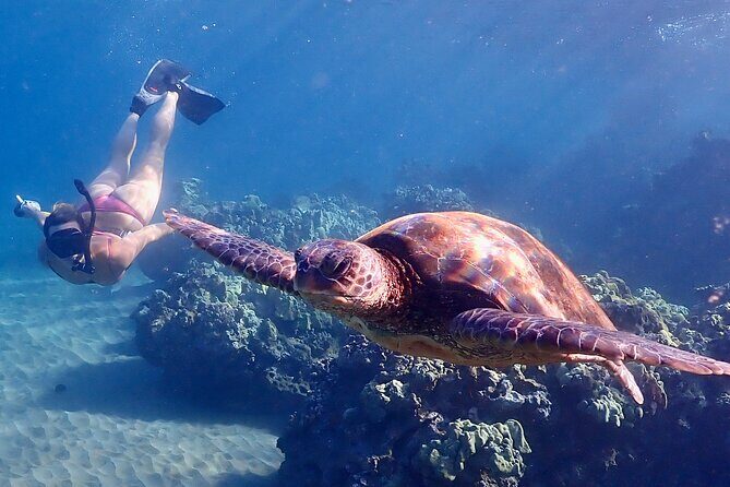 Turtle Town Snorkel with Free Photo and Video - Beginners - Gear and Safety: Lifejackets, Wetsuit Tops, and a Snorkel Setup That Tries to Work