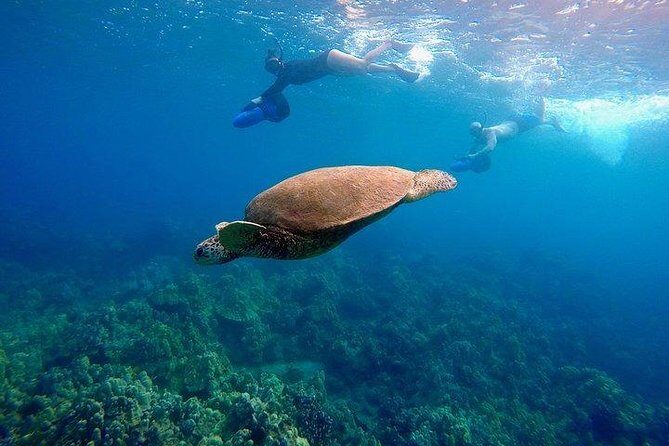 Turtle Town Underwater Scooter Snorkeling Tour with GoPro - Turtle Town on a Sea Scooter: What You’re Really Buying