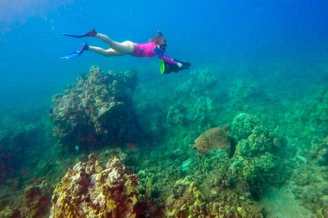 Turtle Town Underwater Scooter Snorkeling Tour with GoPro - Turtle Town Encounters: How You’ll Actually Spot Wildlife