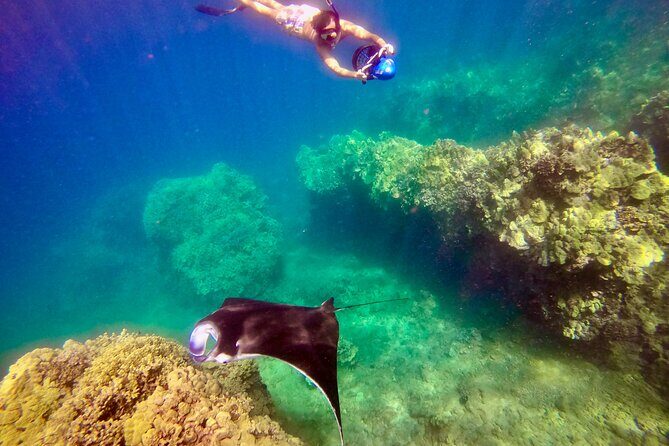 Turtle Town Underwater Scooter Snorkeling Tour with GoPro - Guide Style in a Small Group: Why It Feels Personal