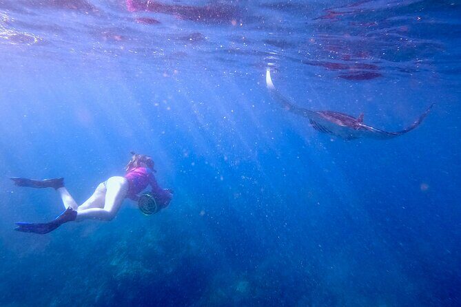 Turtle Town Underwater Scooter Snorkeling Tour with GoPro - Who Should Book This Tour (and Who Might Think Twice)