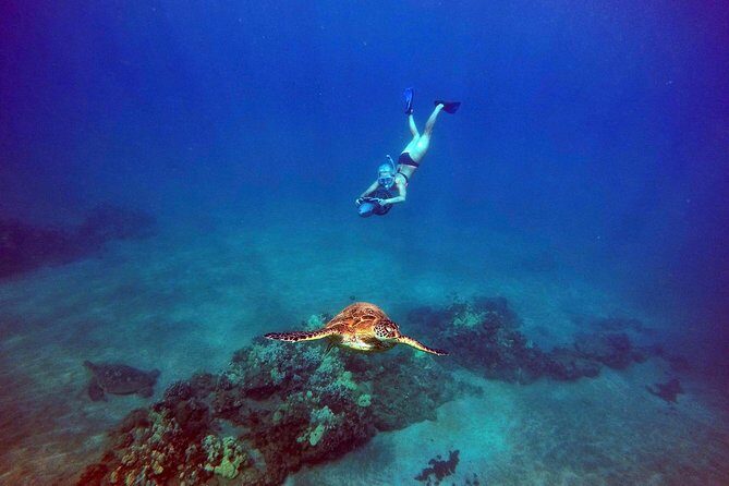 Turtle Town Underwater Scooter Snorkeling Tour with GoPro - The 90-Minute Flow: From Meeting to Reef Time