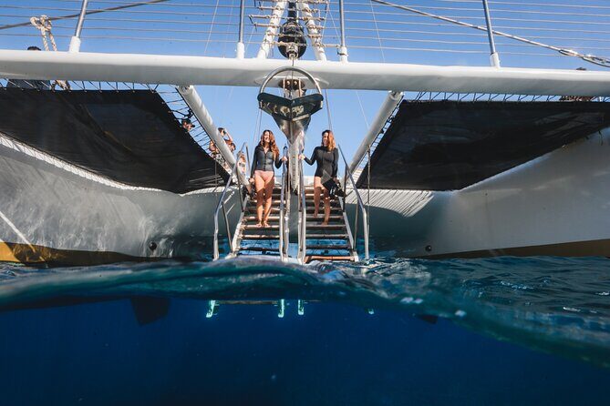 Turtles & Tacos Luxury Catamaran Snorkel - Value check: is $199 a good deal?