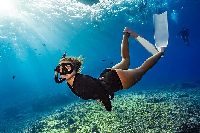 Two Site Snorkeling Adventure featuring the Molokini Crater - Key Points You’ll Actually Care About
