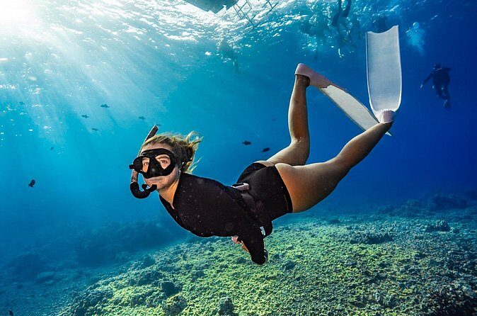 Two Site Snorkeling Adventure featuring the Molokini Crater - Small Group Size (16 Max): Why That Changes the Whole Day