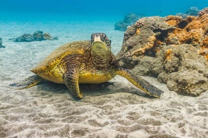 Two Stop Snorkel Adventure from Maui - What the second snorkel stop adds (and what to expect)