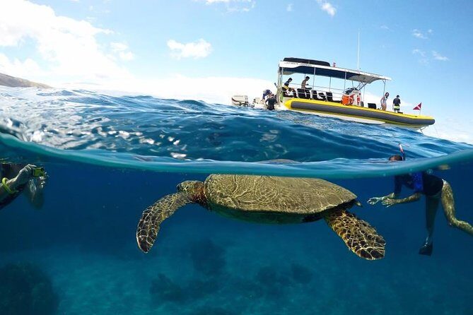Ultimate 4 Hour Lanai Snorkel and Dolphin Encounter - Key things I’d watch for before you book