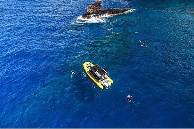 Ultimate 4 Hour Lanai Snorkel and Dolphin Encounter - Dolphin encounters and humpback whale season: when to set expectations