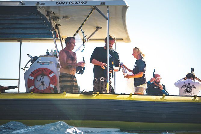 Ultimate 4 Hour Lanai Snorkel and Dolphin Encounter - Boat, gear, snacks, and comfort: what you’re actually paying for