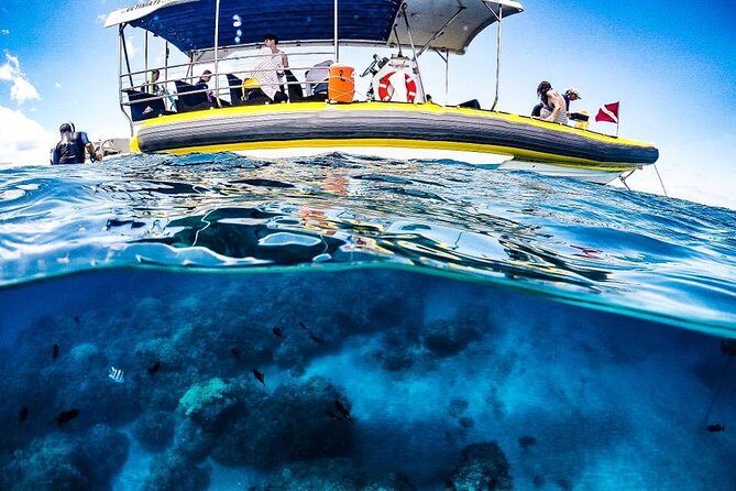 Ultimate 4 Hour Lanai Snorkel and Dolphin Encounter - The crew experience: safety checks that keep the day easy