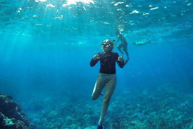 Ultimate 4 Hour Lanai Snorkel and Dolphin Encounter - Price and value at $175: what’s fair, and who it’s for