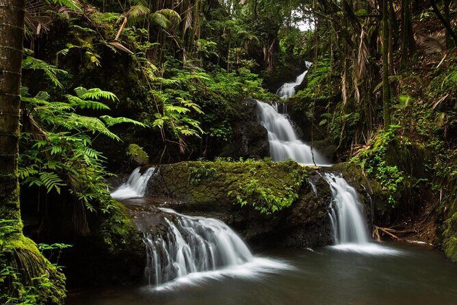 Ultimate Hawaii Road Trip: 4-Island Self-Guided Audio Tours - Price and Value: Why $39.99 Can Beat a Guided Tour