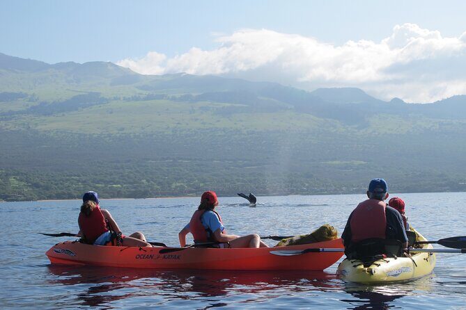 Ultimate Maui Whale Watch Snorkel Tour - What’s Included (and What That Means for Your Value)