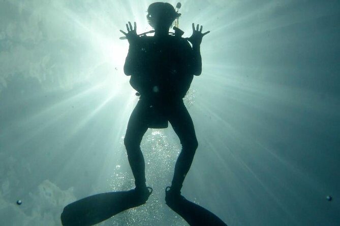 Underwater Scooter Dive (Certified Divers Only) Makena Wailea - What you’ll see: turtles, coral, fish, and lava rock formations