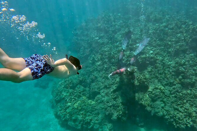 Unlimited Guided Snorkeling Tour for Beginners Plus - Key Highlights You’ll Care About