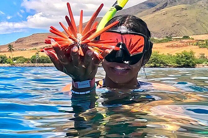 Unlimited Guided Snorkeling Tour for Beginners Plus - Meet-Up, Timing, and the Pace You Should Expect