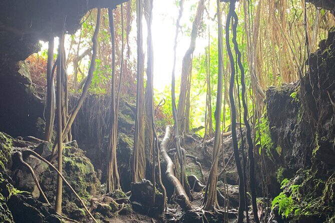 VIP Private Full-Day Road to Hana Tour from Lahaina-Kapalua - Paia to Ho‘okipa: Town Color and Ocean Drama First