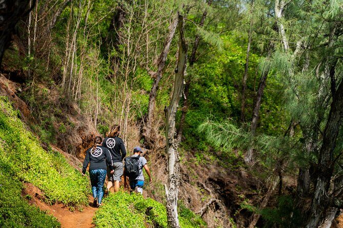 VIP Private Full-Day Road to Hana Tour from Lahaina-Kapalua - Jaws Country Store and the Road to Hāna: Where the Day Turns Scenic