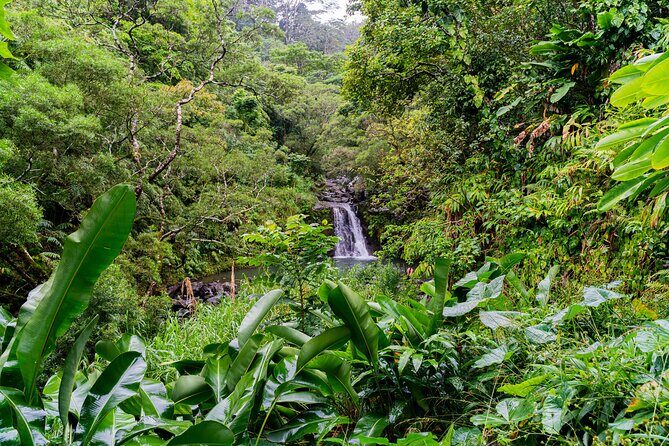 VIP Private Full-Day Road to Hana Tour from Lahaina-Kapalua - The $400 Question: What You’re Really Paying For