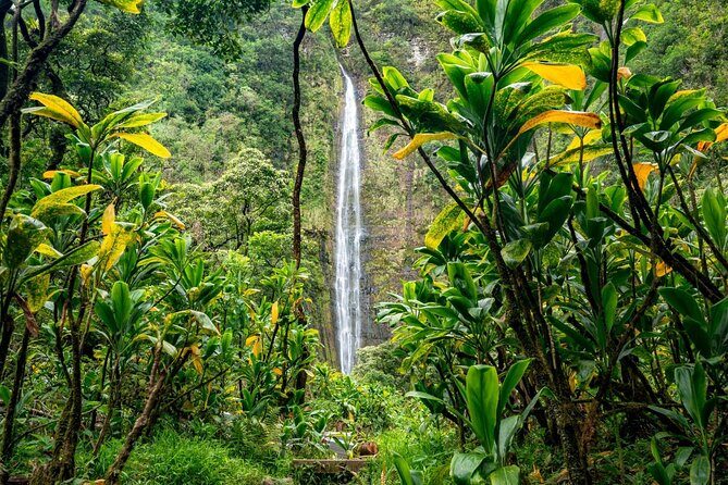 VIP Private Road to Hana and Haleakala Sunset Tour - Pickup, Meeting Point, and How to Keep Logistics Smooth