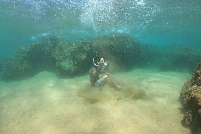 Water Bike Tour in South Maui - Key highlights you’ll care about