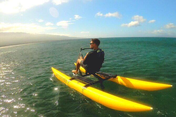 Water Bike Tour in South Maui - Wildlife moments: whales, dolphins, turtles, and more