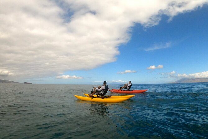 Water Bike Tour in South Maui - The guide experience: local voices and Hawaiian language in real time