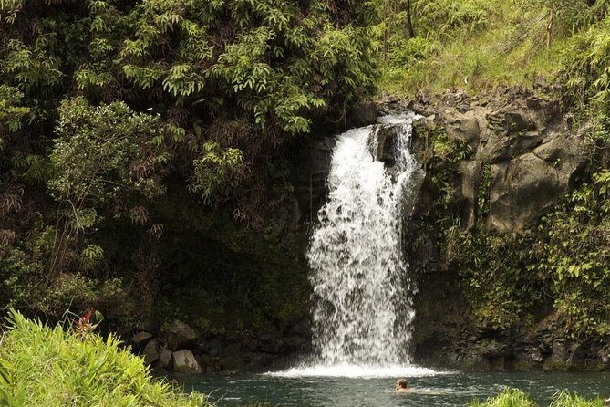 Waterfall and Rainforest Adventure - The road to Hana, without the road-stress