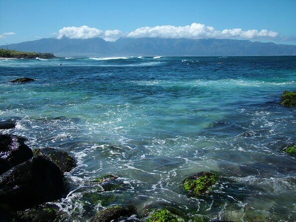 Waterfall and Rainforest Adventure - Ho’okipa Beach Park: turtles, wind, and a quick sea-watcher break