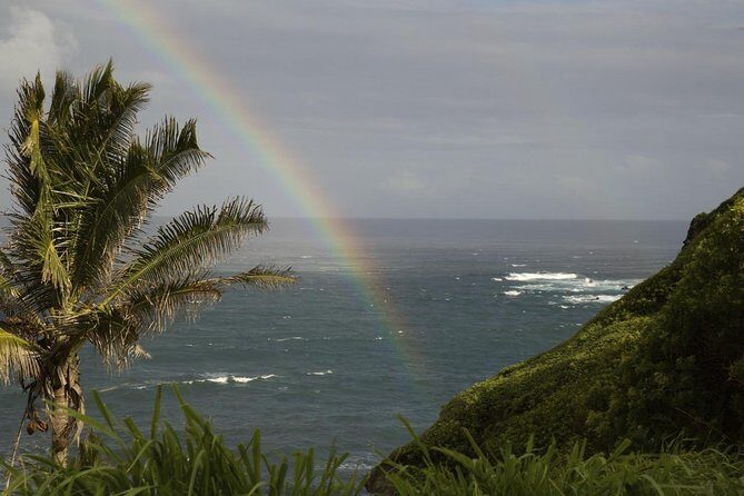 Waterfall and Rainforest Adventure - Ke‘anae Point: taro fields, lava coast, and banana bread timing