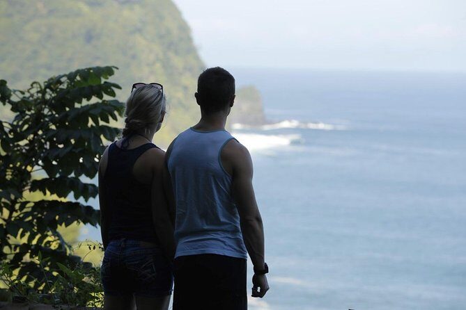 Waterfall and Rainforest Adventure - Price and value: is $405 per person fair?