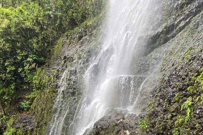 Waterfall and Rainforest Adventure - Lunch and add-ons: keep it flexible