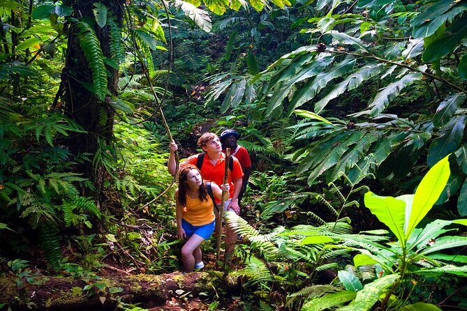 Waterfall, Rainforest, Chocolate Tour & Historical Sites - Who this tour fits (and who should pick something else)